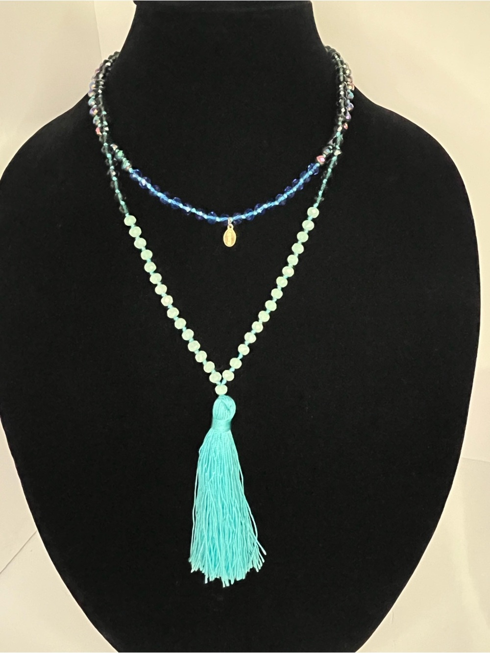 Express Turquoise & Blue Beaded single strand Necklace with Tassel